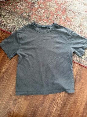 Zara Short Sleeve Crewneck Tee in Charcoal Gray